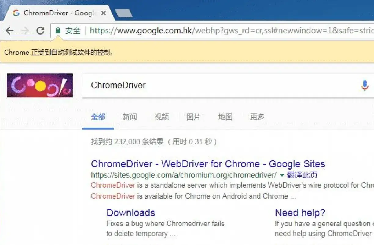 20241014235514-google-selenium.webp